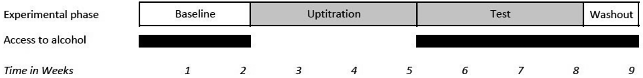 Effect of the glucagon-like peptide-1 (GLP-1) receptor agonist semaglutide on alcohol consumption in alcohol-preferring male vervet monkeys