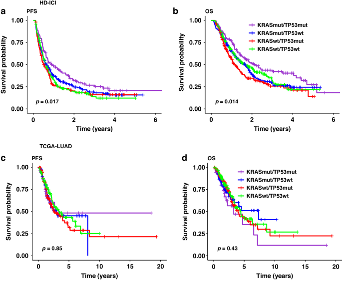 KRAS and TP53 co-mutation predicts benefit of immune checkpoint blockade in lung adenocarcinoma