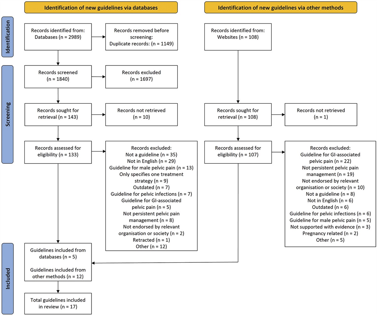 Recommendations for patient education in the management of persistent pelvic pain: a systematic review of clinical practice guidelines