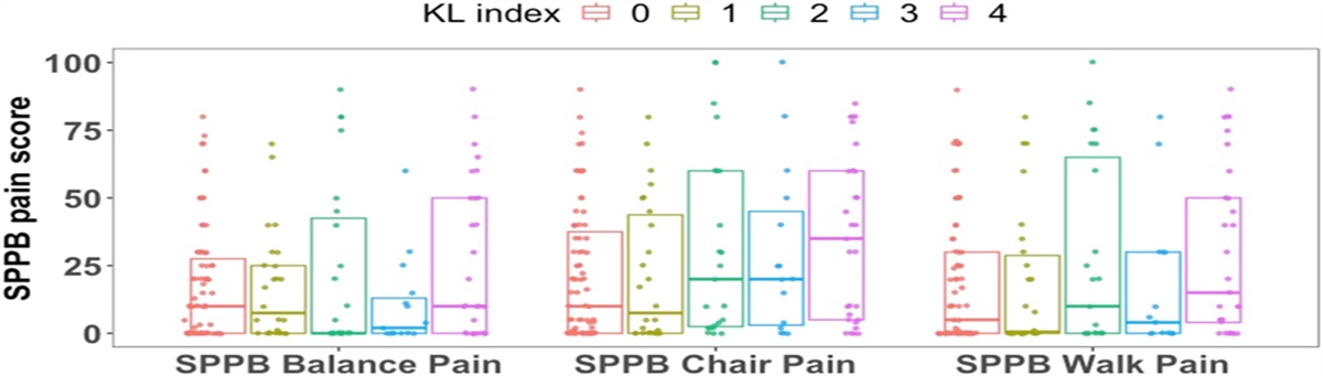 A domain-oriented approach to characterizing movement-evoked pain