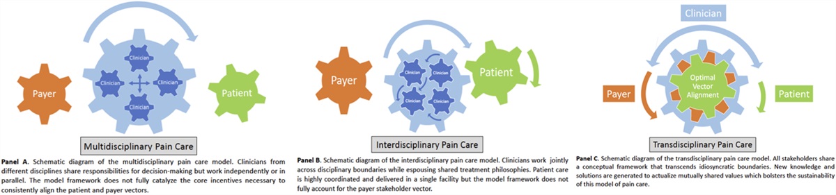 Integrated pain care models and the importance of aligning stakeholder values