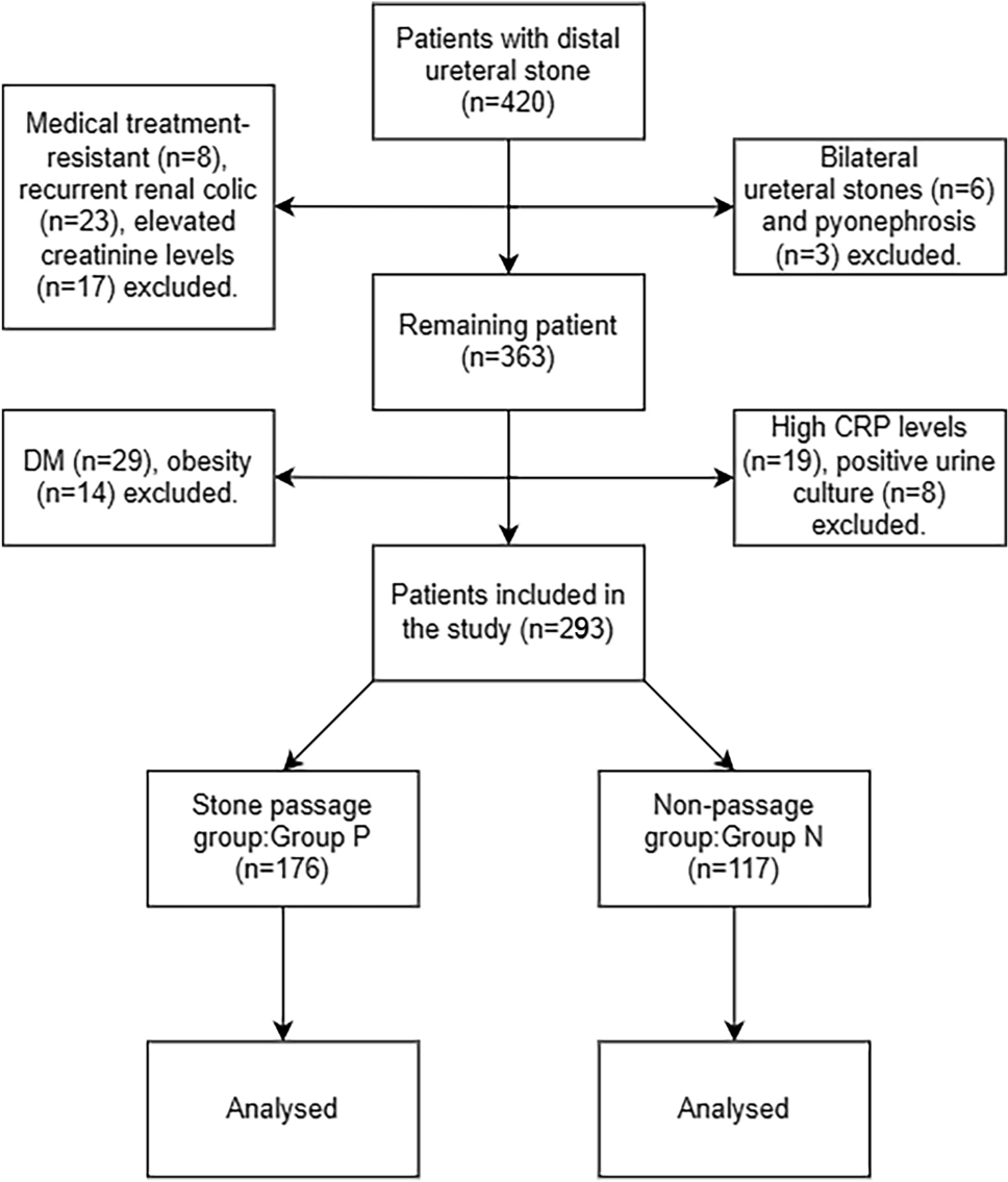Prediction of spontaneous distal ureteral stone passage using artificial intelligence