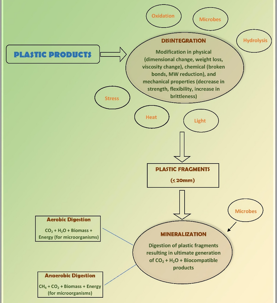 A critical examination of advanced approaches in green chemistry: microbial bioremediation strategies for sustainable mitigation of plastic pollution