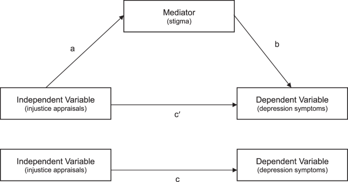 Understanding the association between perceived injustice, depression symptoms, and stigma in individuals with traumatic spinal cord injury