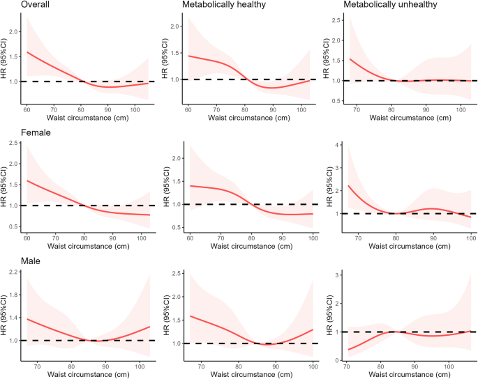 Metabolic obesity phenotypes and all-cause mortality among the Chinese oldest-old population: a prospective cohort study
