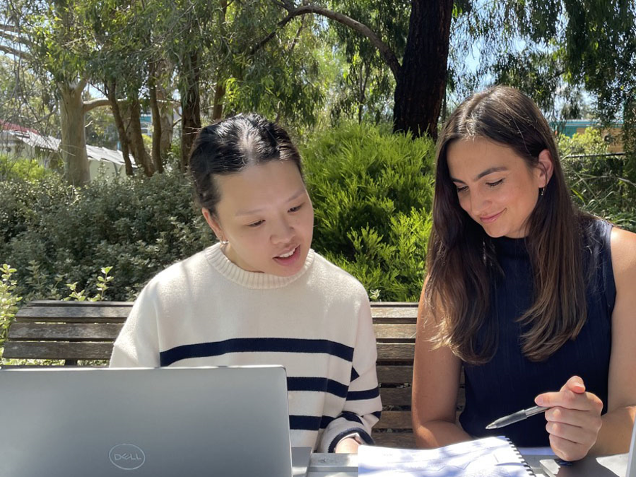 Design of Digital Mental Health Platforms for Family Member Cocompletion: Scoping Review