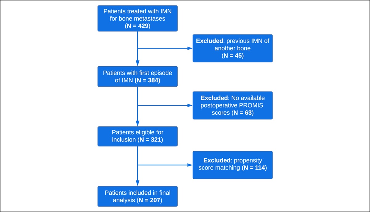 Patient-Reported Outcomes After Intramedullary Nailing of Oncologic Impending or Pathologic Fractures With Carbon Fiber or Titanium Implant