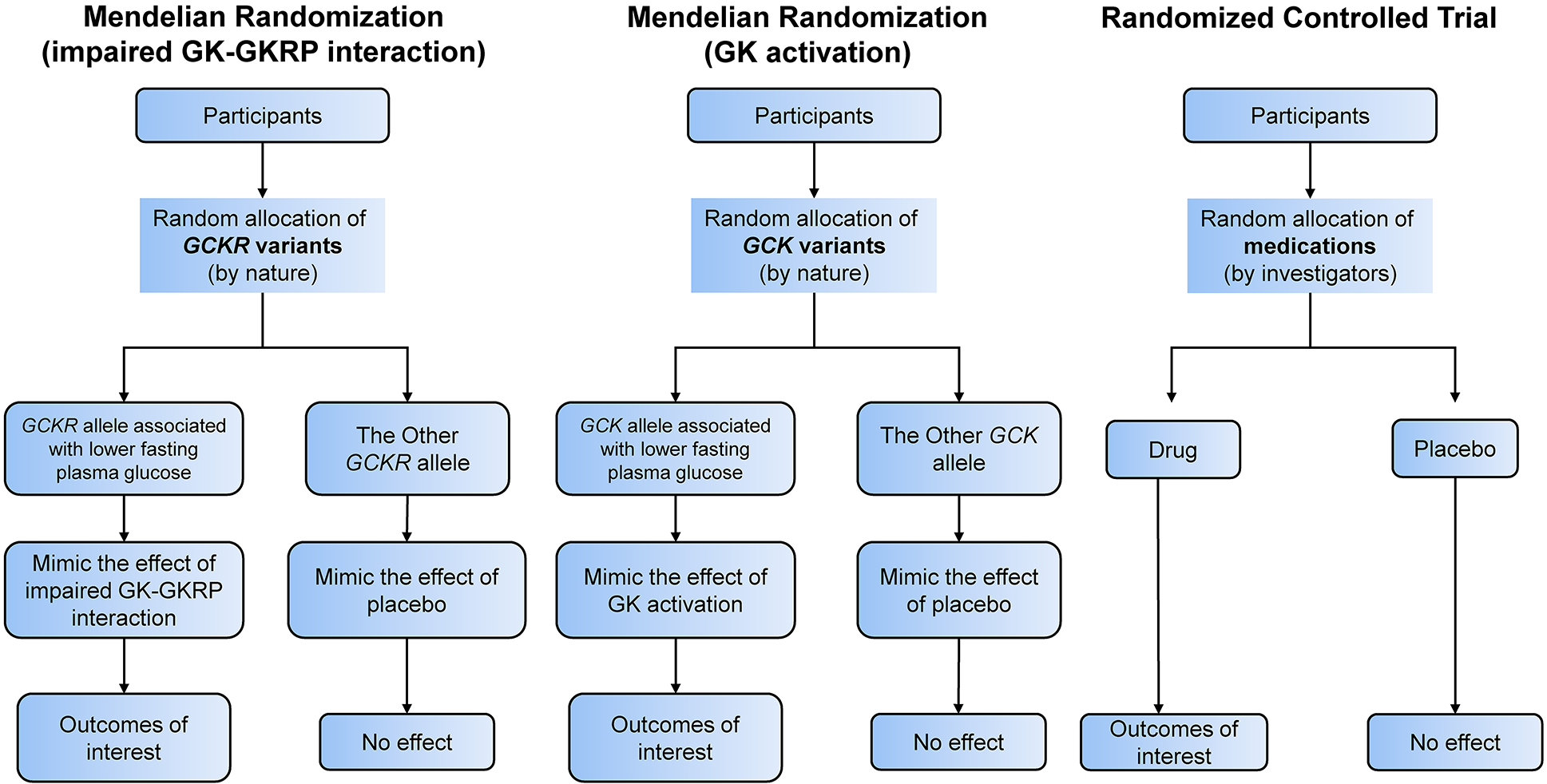 Impaired GK-GKRP interaction rather than direct GK activation worsens lipid profiles and contributes to long-term complications: a Mendelian randomization study