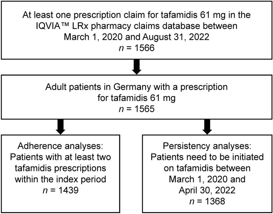 Tafamidis 61 mg Patient Characteristics and Persistency? A Retrospective Analysis of German Statutory Health Insurance Data (IQVIA™ LRx)
