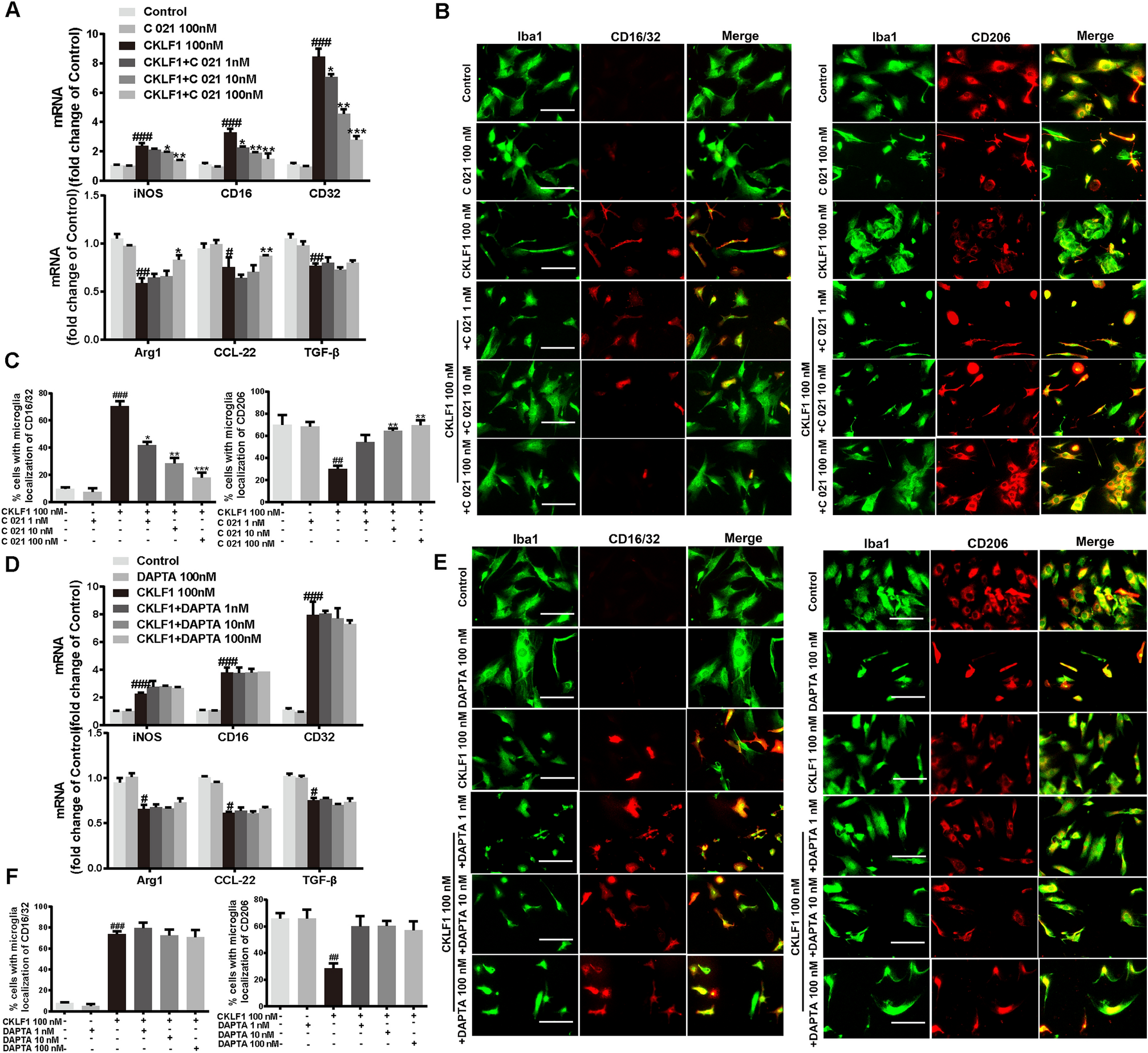 Correction: CKLF1 Aggravates Focal Cerebral Ischemia Injury at Early Stage Partly by Modulating Microglia/Macrophage Toward M1 Polarization Through CCR4