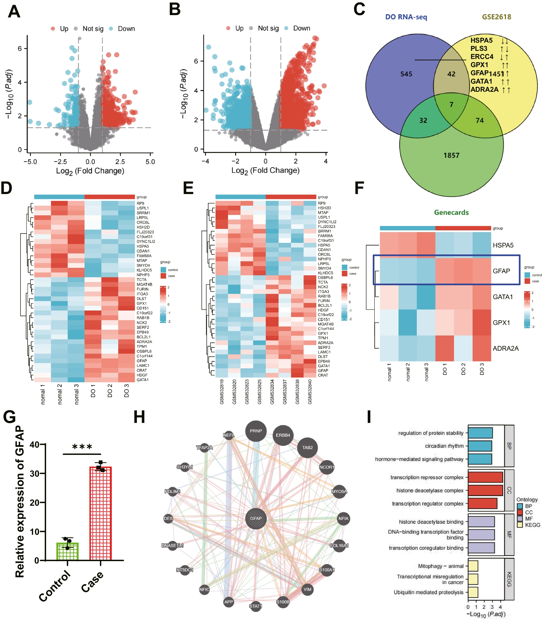 Delivery of miR-15b-5p via magnetic nanoparticle-enhanced bone marrow mesenchymal stem cell-derived extracellular vesicles mitigates diabetic osteoporosis by targeting GFAP