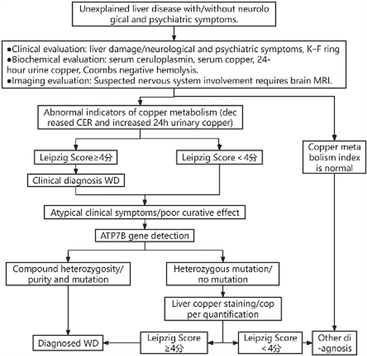Analysis of risk factors for fatty liver disease in children with Wilson’s disease