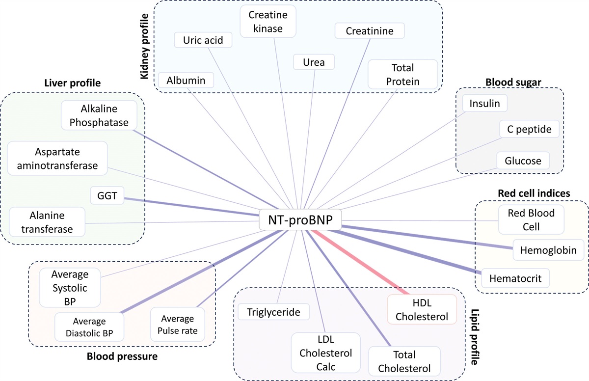 Association between antioxidant metabolites and N-terminal fragment brain natriuretic peptides in insulin-resistant individuals