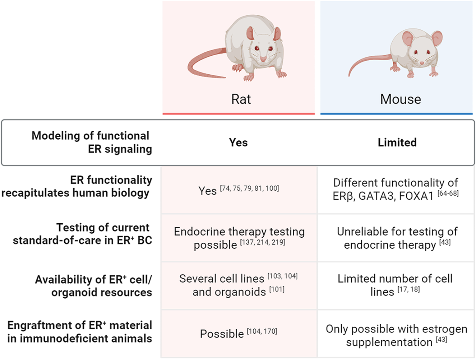 Rat Models of Hormone Receptor-Positive Breast Cancer