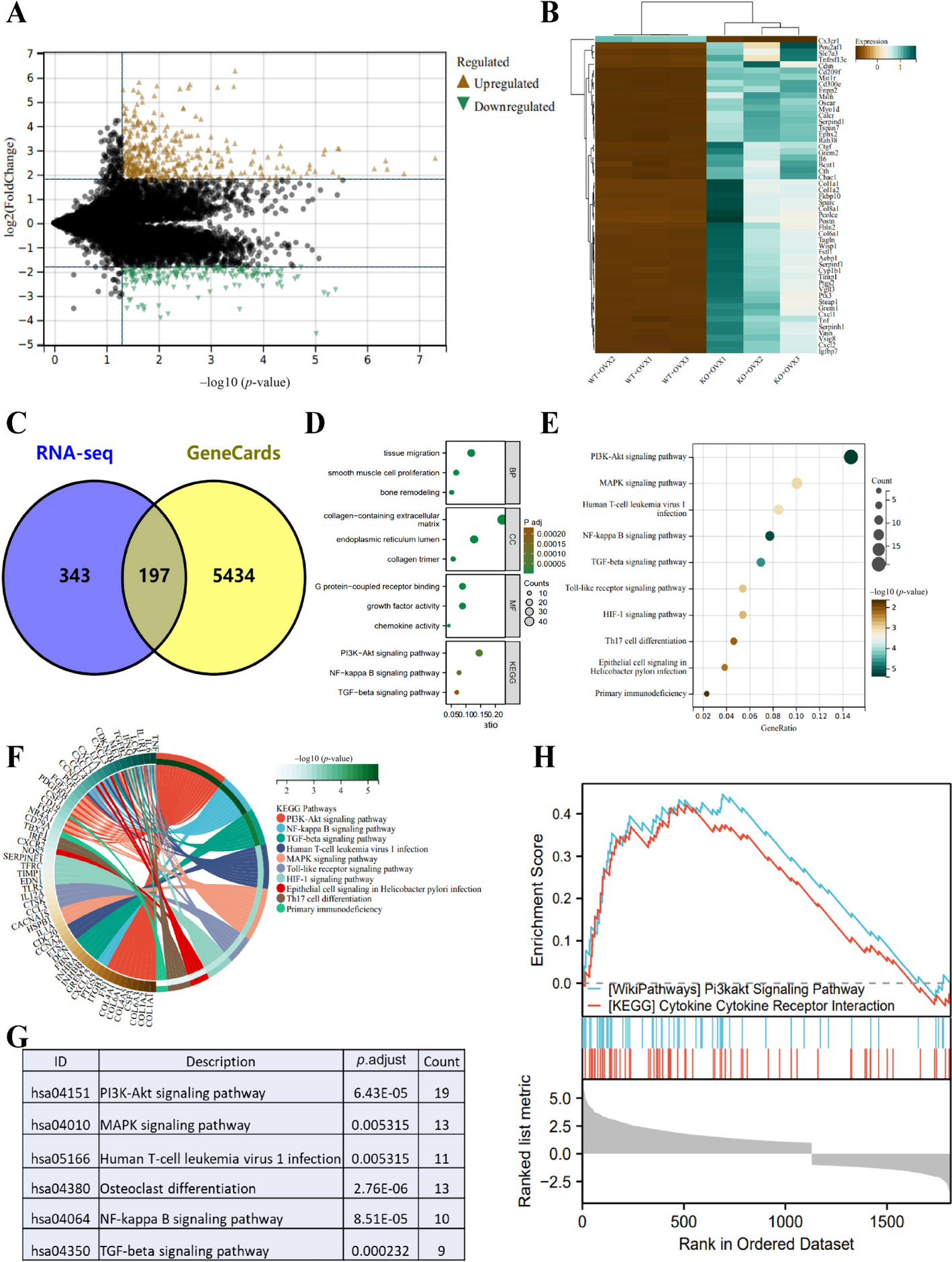 New mechanistic understanding of osteoclast differentiation and bone resorption mediated by P2X7 receptors and PI3K-Akt-GSK3β signaling