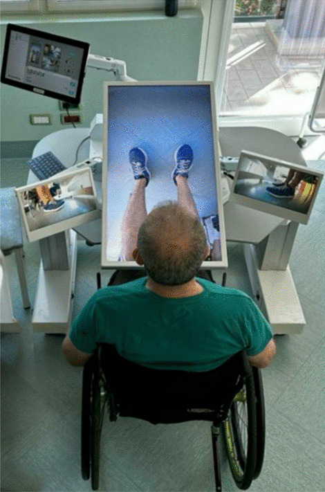 Neural basis of lower-limb visual feedback therapy: an EEG study in healthy subjects