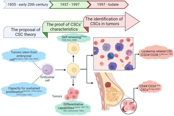 Cancer stem cells: advances in knowledge and implications for cancer therapy