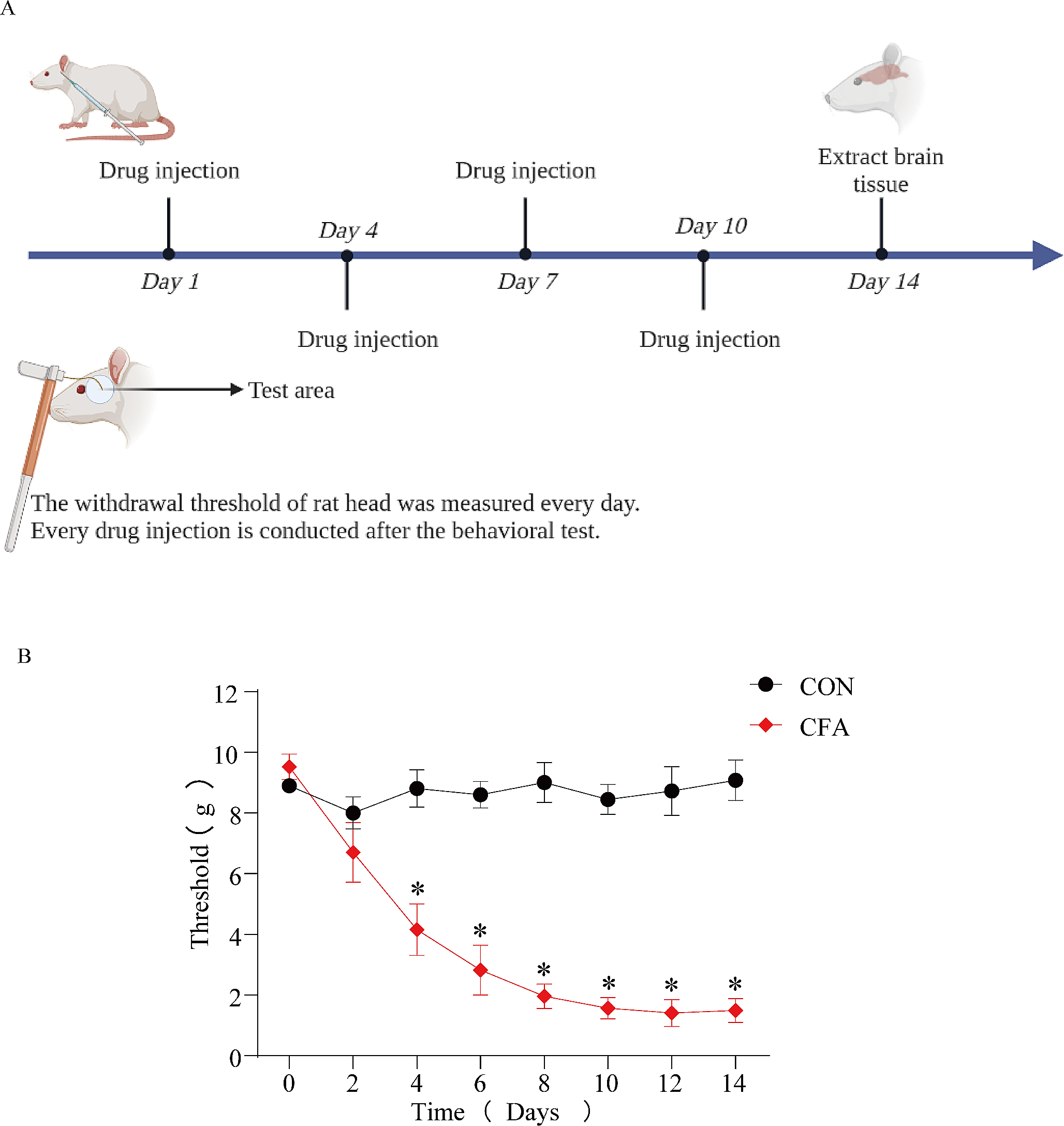 RNA sequencing of the thalamus and rostral ventral medulla in rats with chronic orofacial pain
