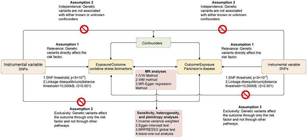 Bidirectional two-sample Mendelian randomization analysis identifies causal associations between oxidative stress and Parkinson’s disease