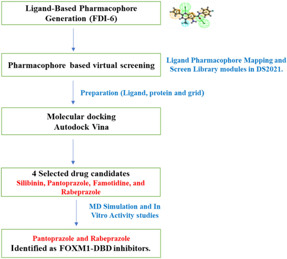 A drug repurposing study identifies novel FOXM1 inhibitors with in vitro activity against breast cancer cells