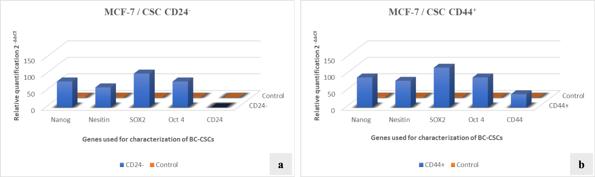 A study with cancer stem cells and three-dimensional tumoroids: investigation of the combined effects of 5-fluorouracil and doxorubicin in breast cancer