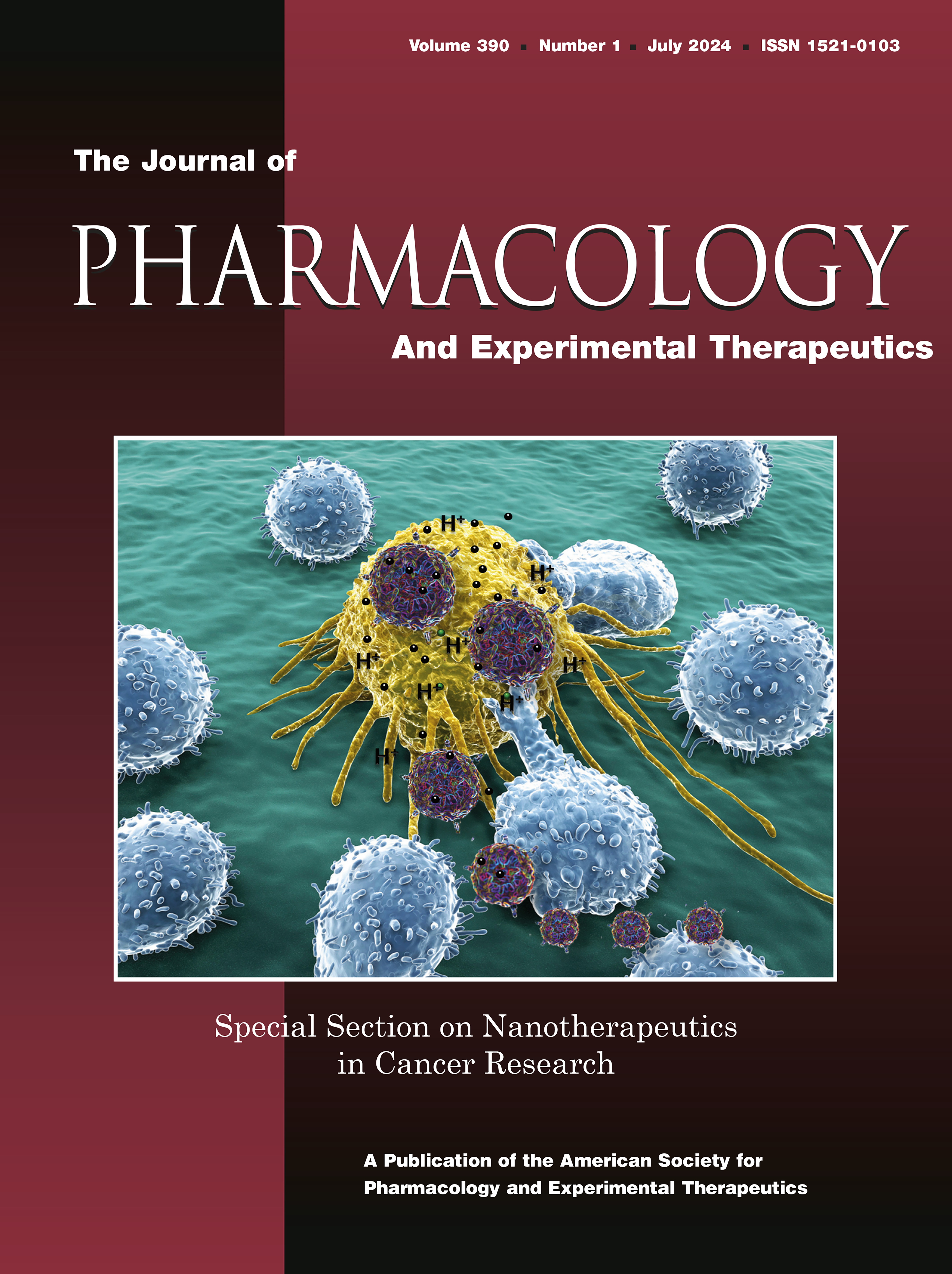 Special Section on Nanotherapeutics in Cancer Research--Editorial [Editorial]