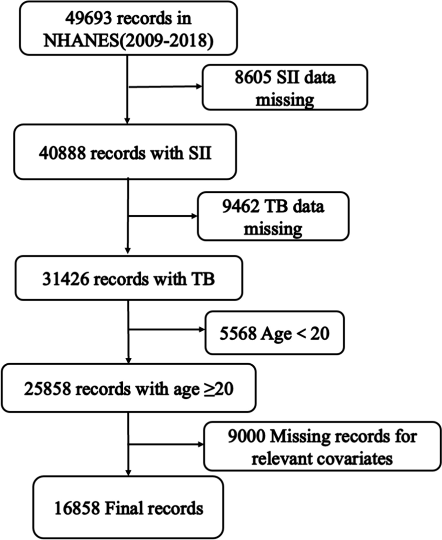 Exploring the inverse relationship between serum total bilirubin and systemic immune-inflammation index: insights from NHANES data (2009–2018)
