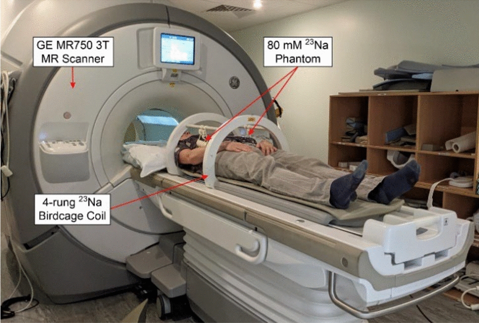 Quantitative 23Na magnetic resonance imaging in the abdomen at 3 T