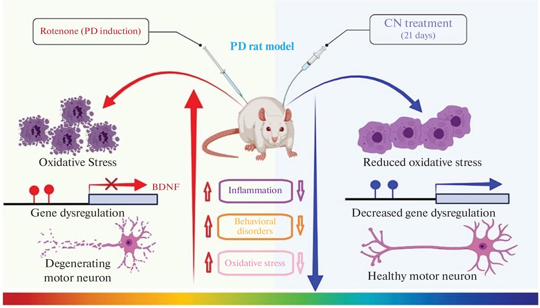 Therapeutic Effects of Citral Nanoliposome on Parkinson’s Treatment in a Rat Model: Modulation via Neurochemical, Inflammatory and Antioxidant Pathways