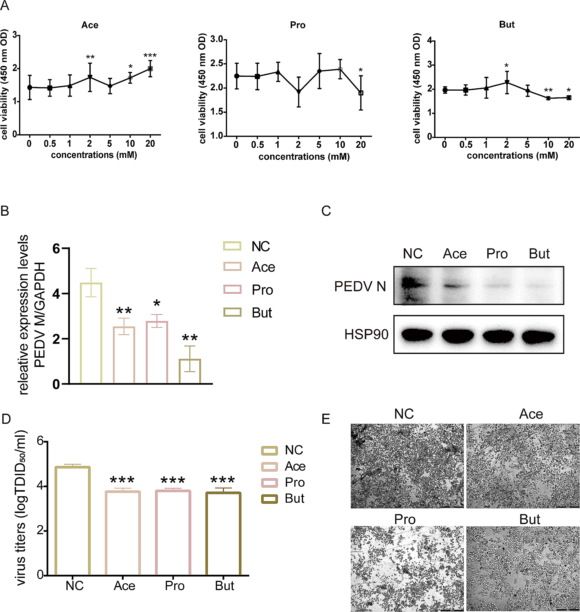 Butyrate induces higher host transcriptional changes to inhibit porcine epidemic diarrhea virus strain CV777 infection in porcine intestine epithelial cells