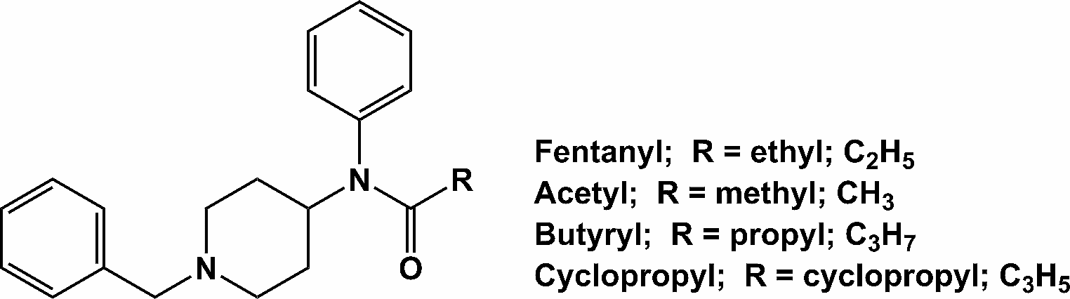 Reinforcing effects of fentanyl analogs found in illicit drug markets
