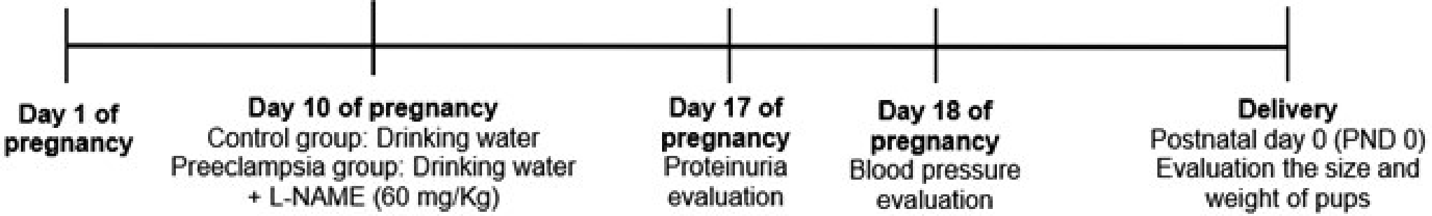 Preeclampsia as a possible risk factor for memory impairment, anxiety- and depressive-like behavior in offspring