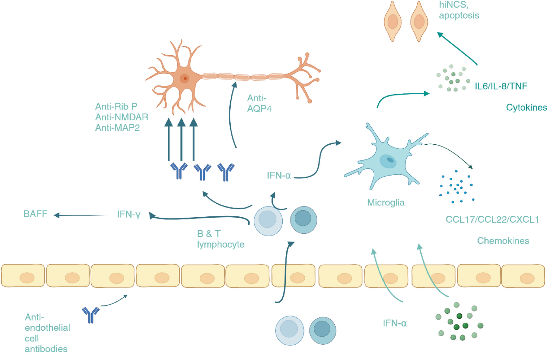 Diagnosis and Management of Pediatric Neuropsychiatric Systemic Lupus Erythematosus: An Update