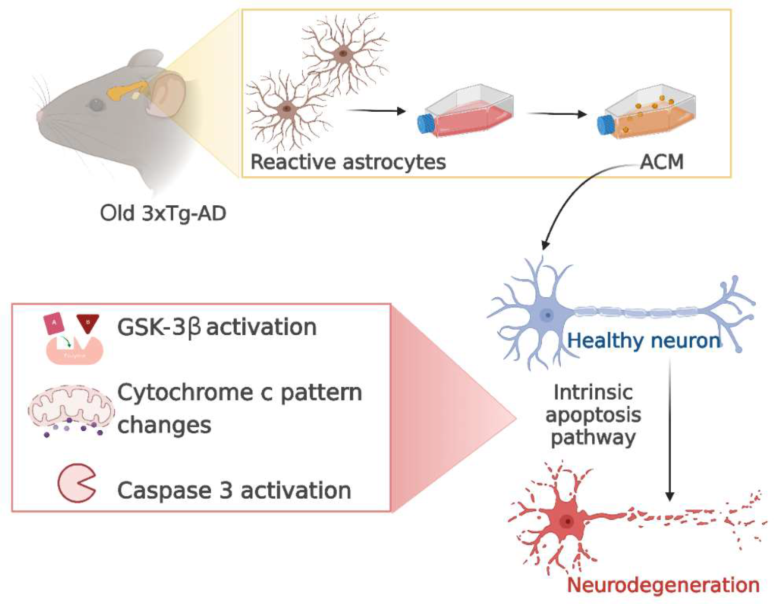 Prenylated Flavanone Isolated from Dalea Species as a Potential Multitarget-Neuroprotector in an In Vitro Alzheimer’s Disease Mice Model