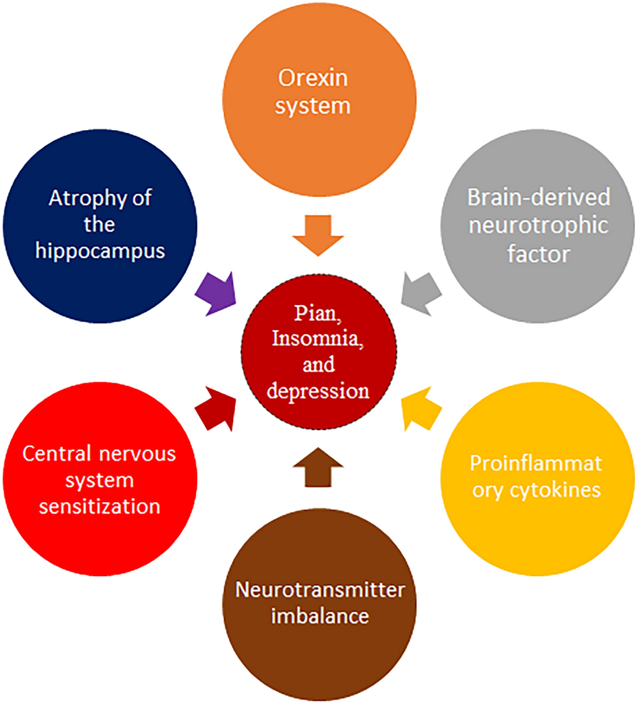 Pain-Insomnia-Depression Syndrome: Triangular Relationships, Pathobiological Correlations, Current Treatment Modalities, and Future Direction