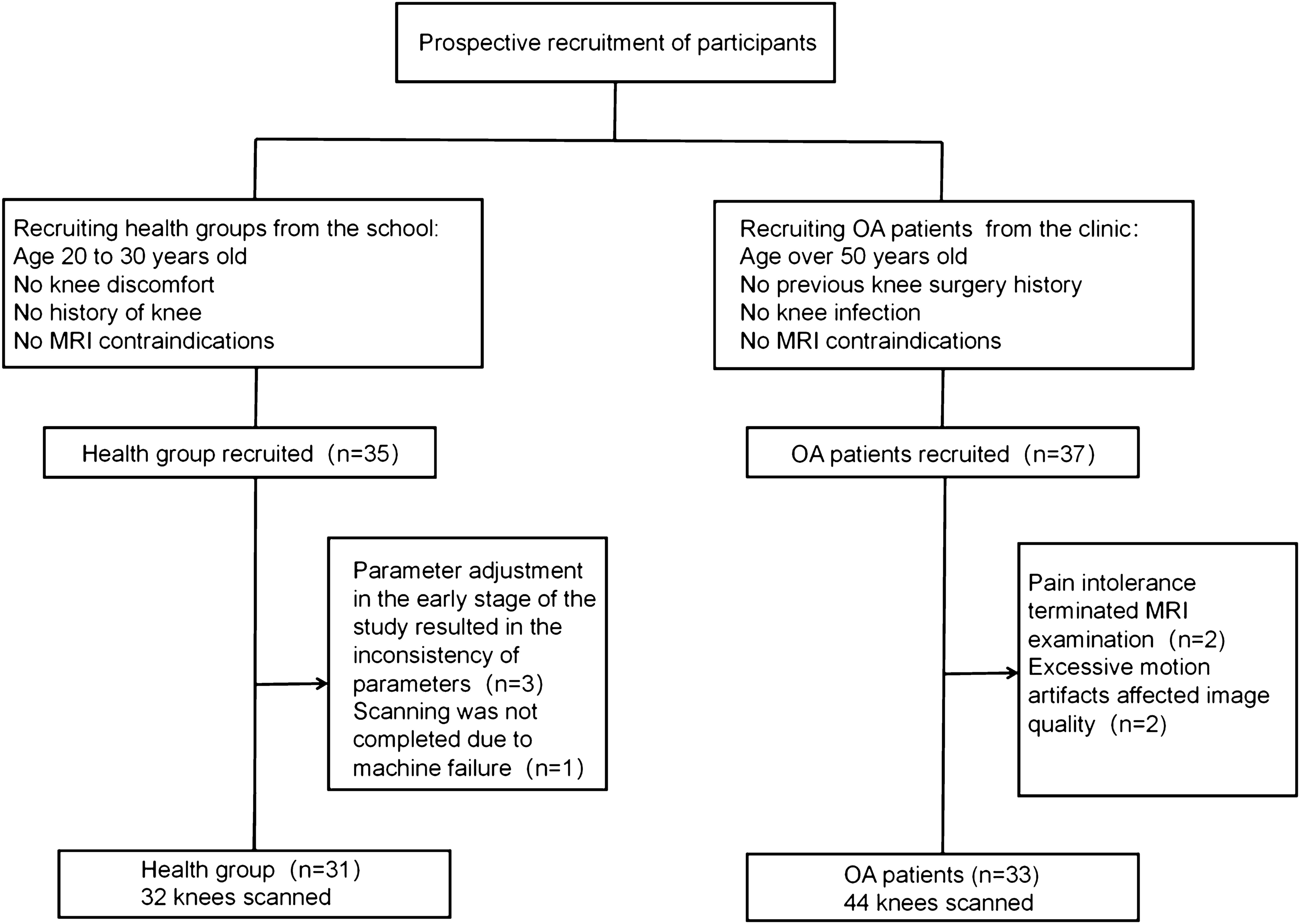 3D-DESS MRI with CAIPIRINHA two- and fourfold acceleration for quantitatively assessing knee cartilage morphology