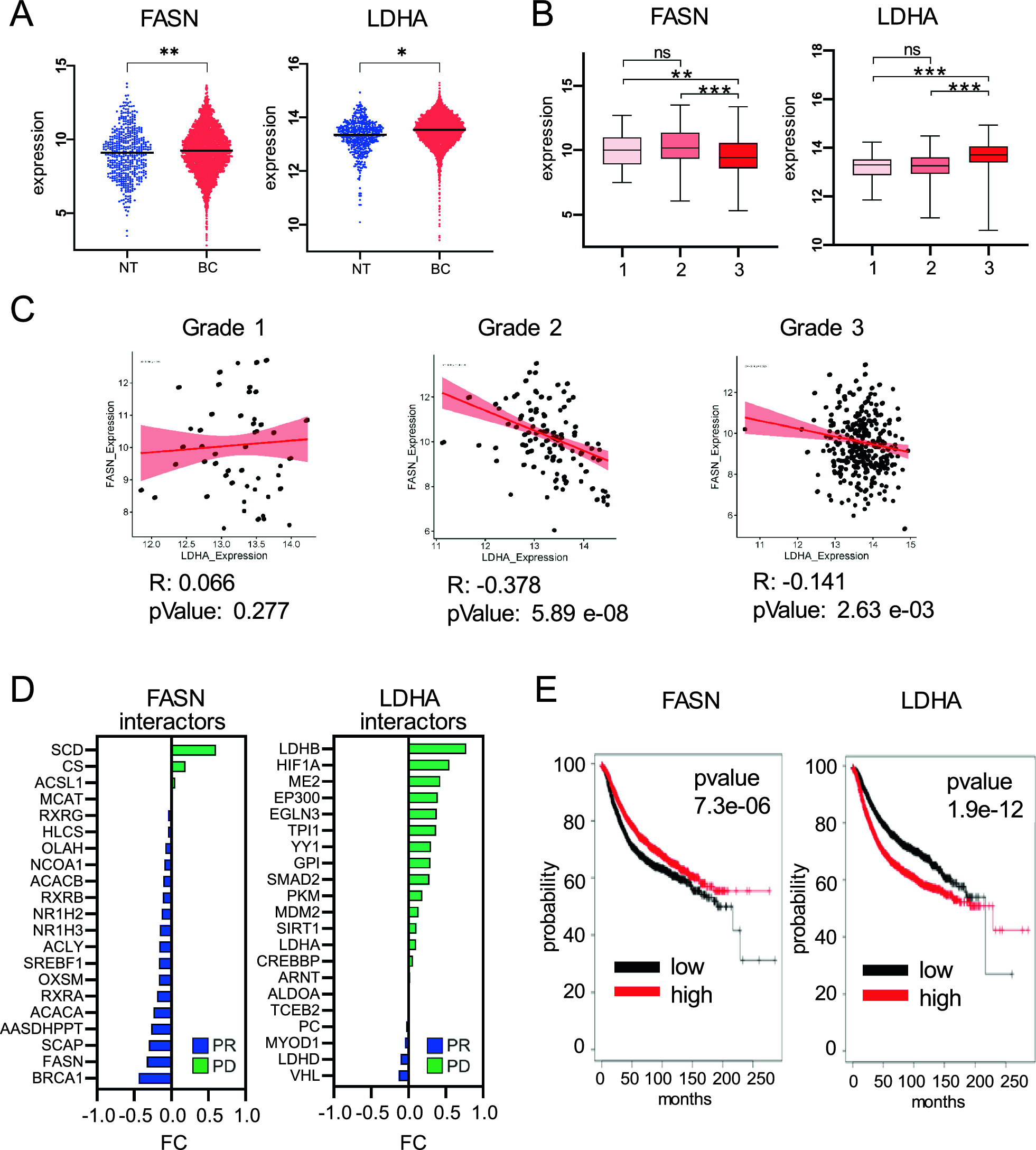 Inverse FASN and LDHA correlation drives metabolic resistance in breast cancer