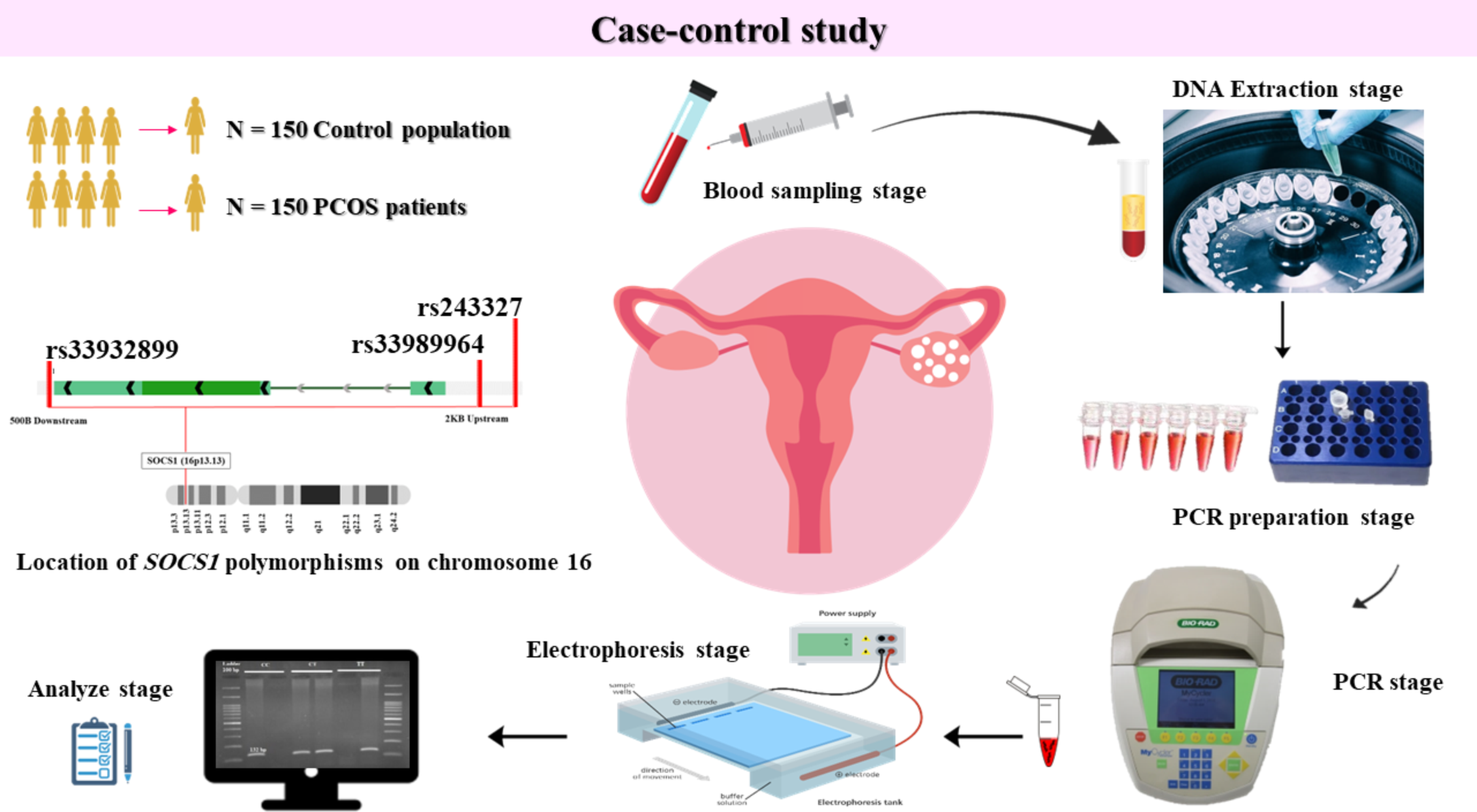 Influence of Suppressor of Cytokine Signaling 1 (SOCS1) Gene Variations on Polycystic Ovary Syndrome
