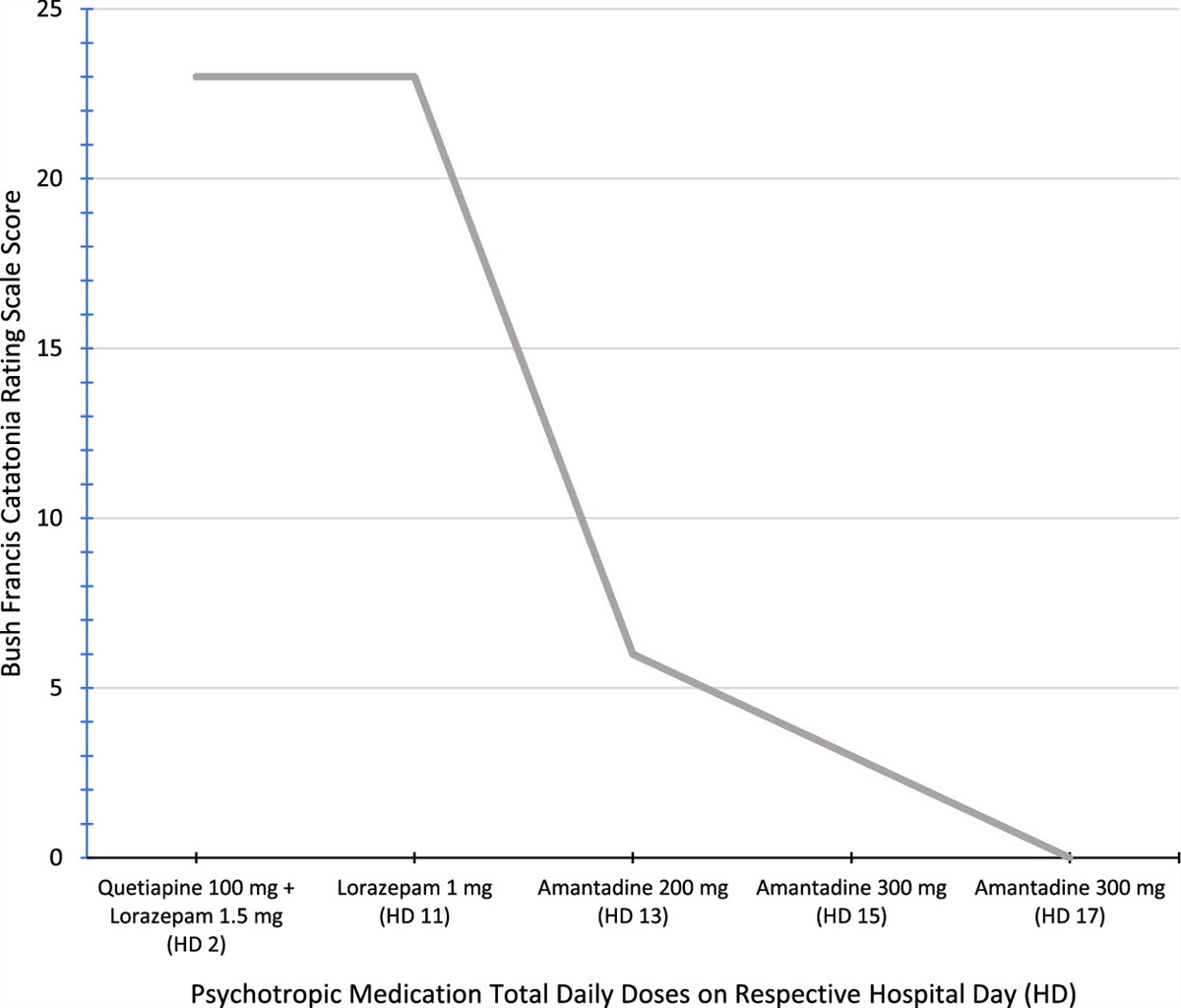 Treating Malignant Catatonia With Liquid Amantadine: A Case Report and Literature Review