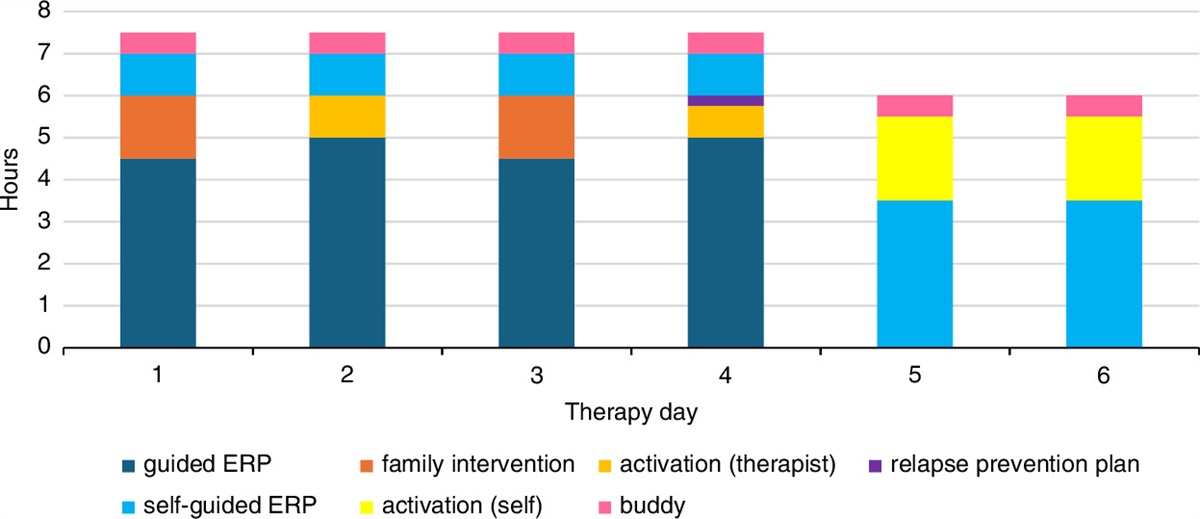 Multifaceted, Brief Intensive Home-Based Exposure Treatment in Patients with Obsessive-Compulsive Disorder Who are Nonresponsive to Regular Cognitive Behavior Therapy: An Uncontrolled Pilot Study