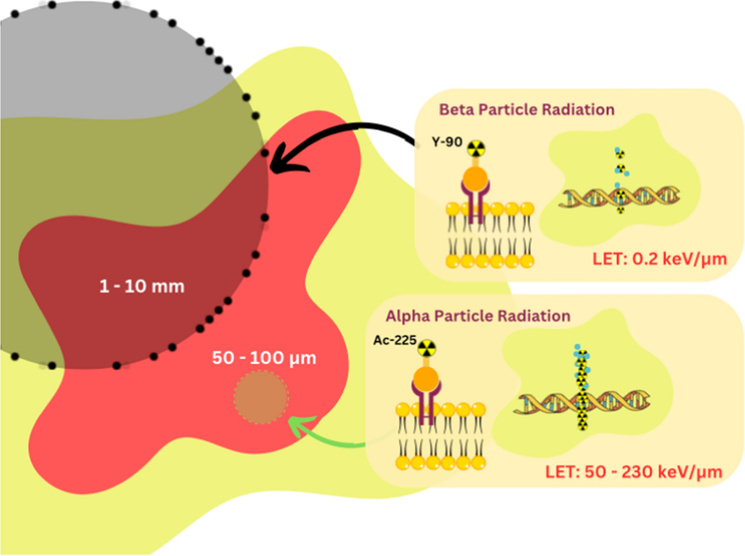 Targeted Alpha Therapy for Glioblastoma: Review on In Vitro, In Vivo and Clinical Trials