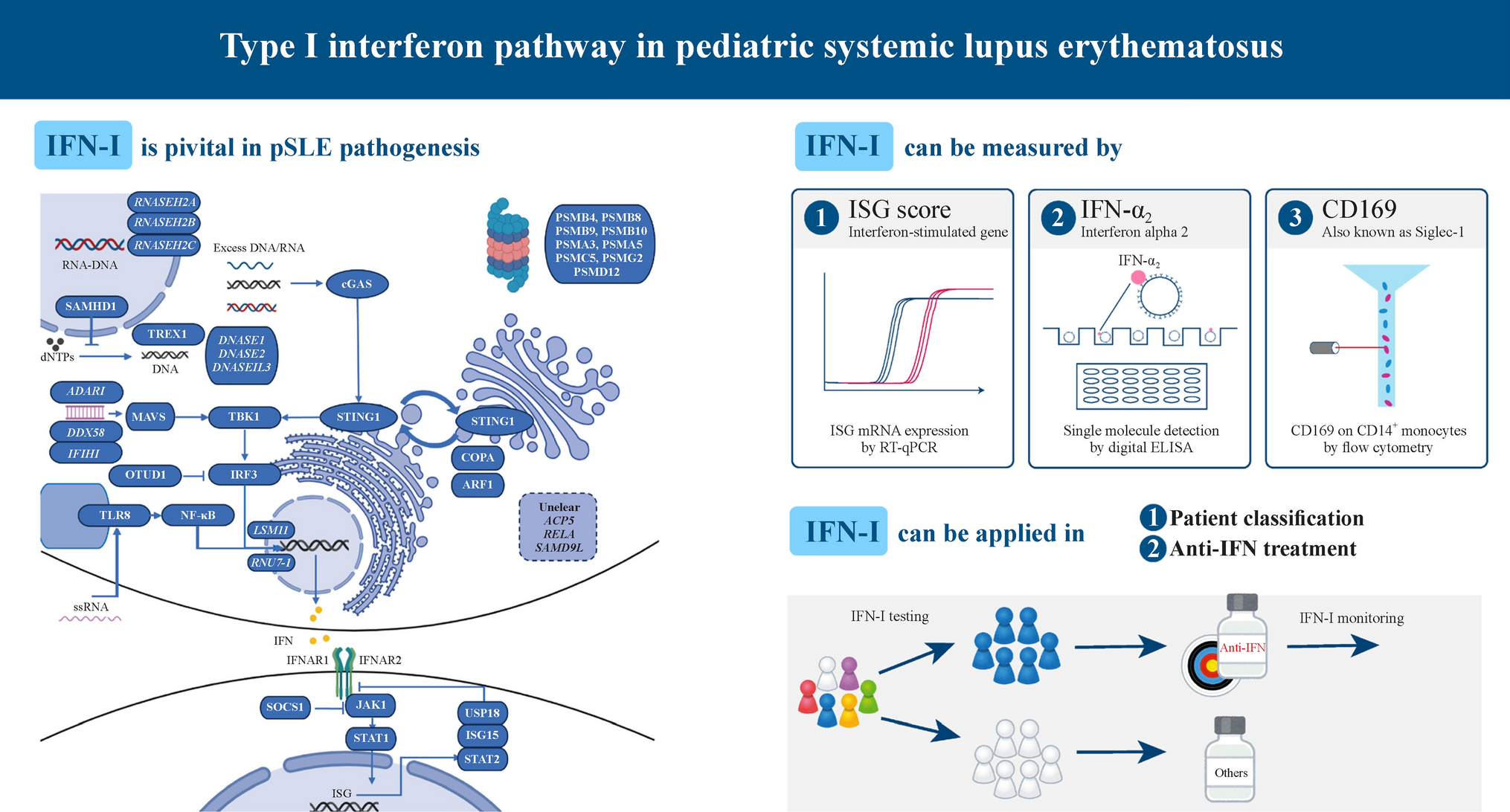 Type I interferon pathway in pediatric systemic lupus erythematosus