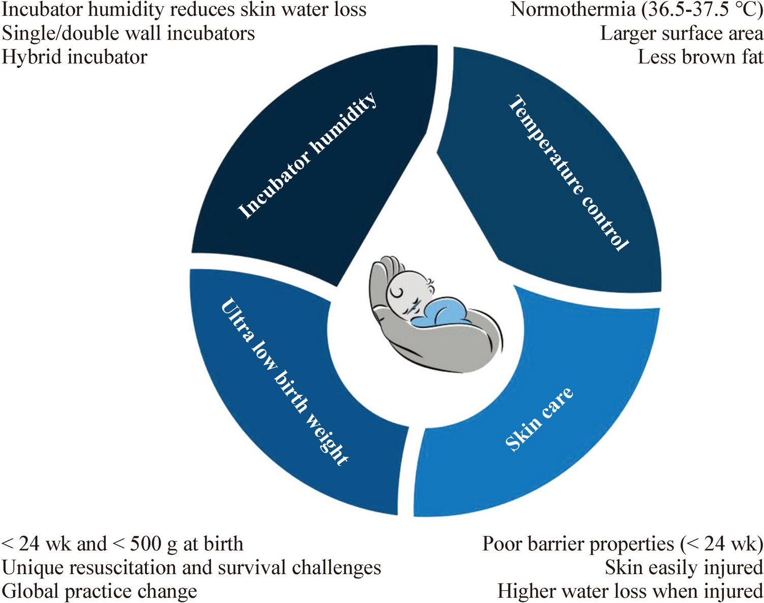 Thermoregulation, incubator humidity, and skincare practices in appropriate for gestational age ultra-low birth weight infants: need for more evidence