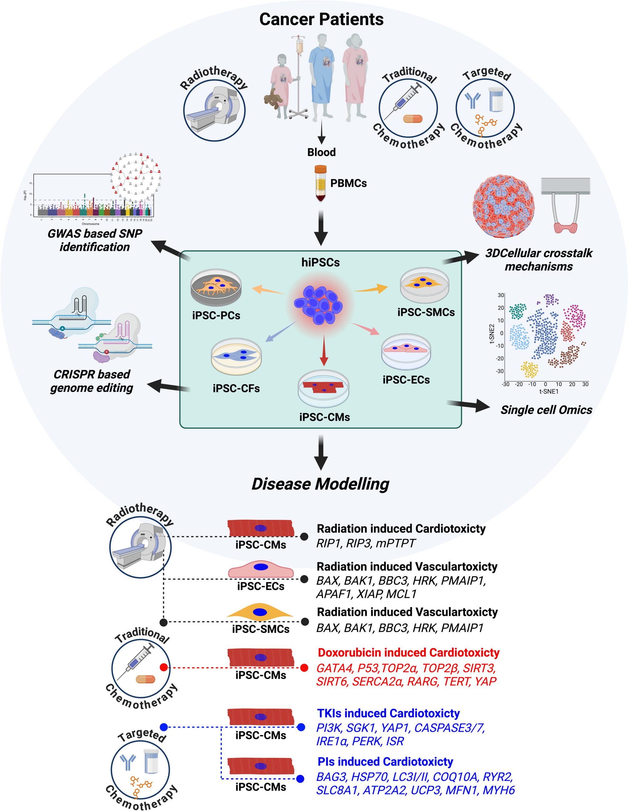 Cardiovascular Toxicity in Cancer Therapy: Protecting the Heart while Combating Cancer