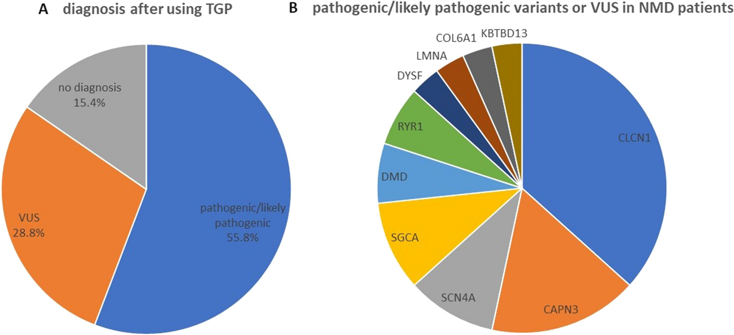Next generation sequencing panel as an effective approach to genetic testing in patients with a highly variable phenotype of neuromuscular disorders