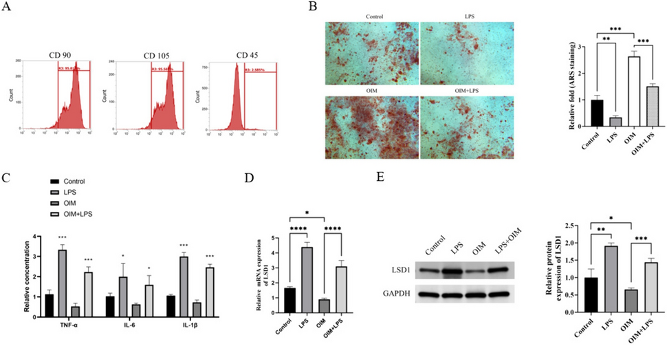miR-708-3p targetedly regulates LSD1 to promote osteoblast differentiation of hPDLSCs in periodontitis