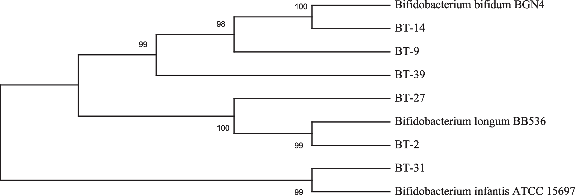 Evaluation of probiotic bifidobacteria strains from Iranian traditional dairy products for their anti-hyperlipidemic potential