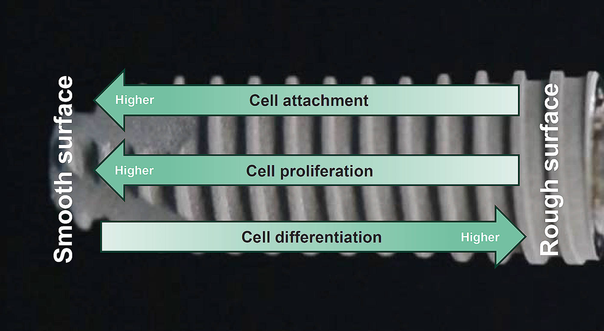 Nanofeatured surfaces in dental implants: contemporary insights and impending challenges