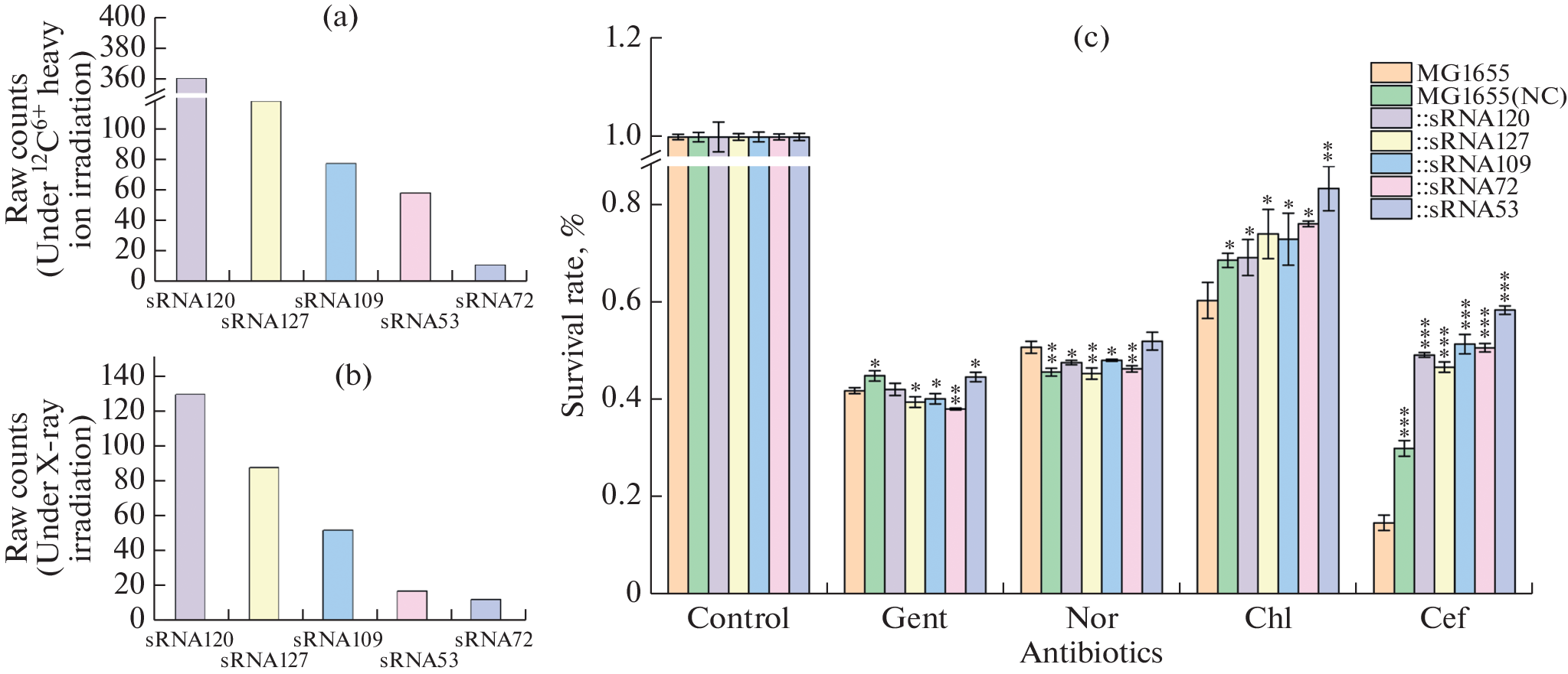 Small Non-Coding sRNA53 Modulates the Quorum Sensing System to Enhance Drug Resistance in Escherichia coli Exposed to Heavy Ion and X-ray Irradiation