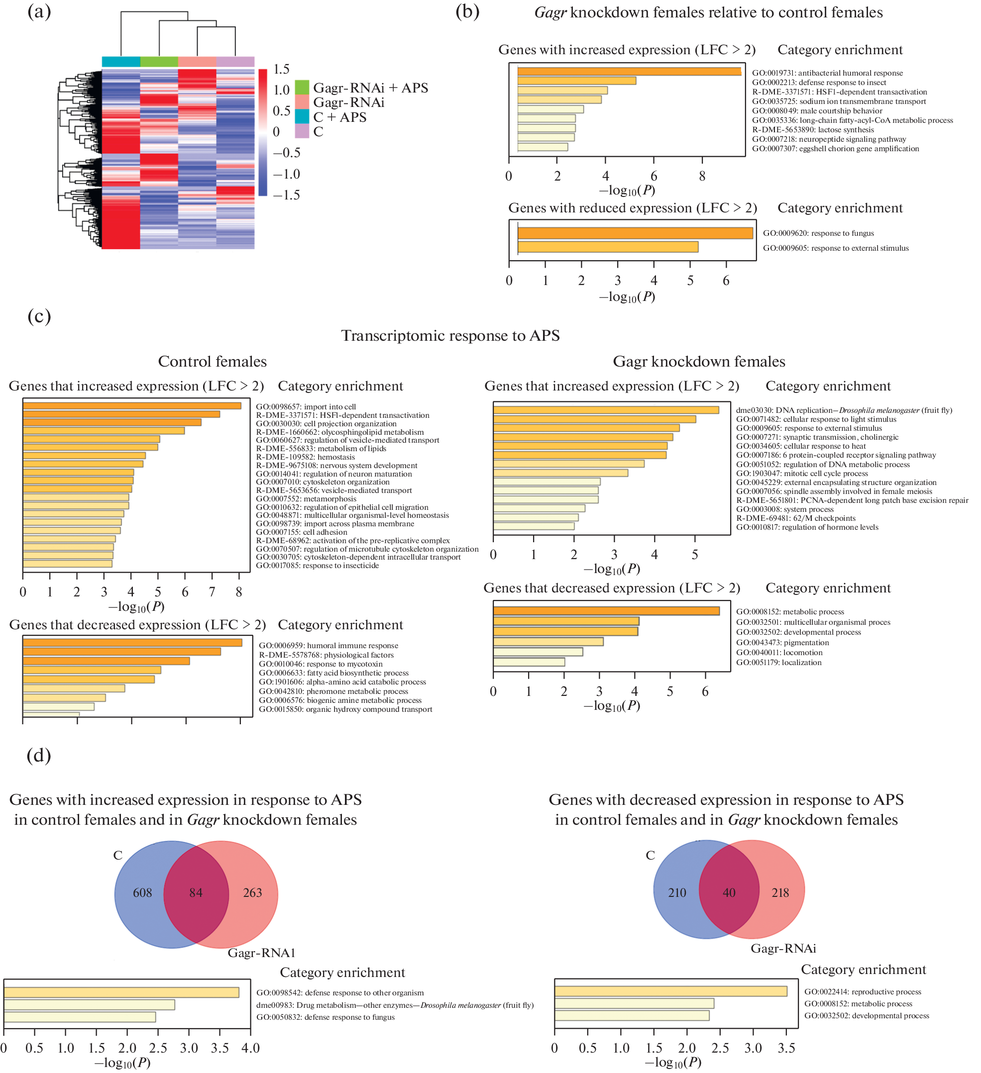 Study of the Gut Transcriptomic Response in Drosophila melanogaster with Knockdown of Gagr, Domesticated gag Gene of Errantiviruses